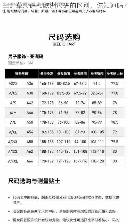 三叶草尺码和欧洲尺码的区别，你知道吗？