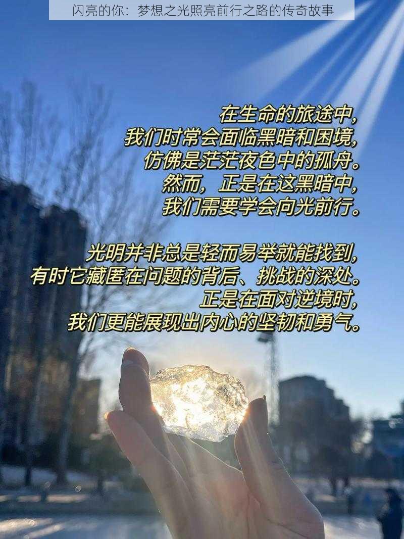 闪亮的你：梦想之光照亮前行之路的传奇故事