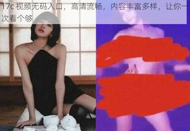 17c 视频无码入口，高清流畅，内容丰富多样，让你一次看个够