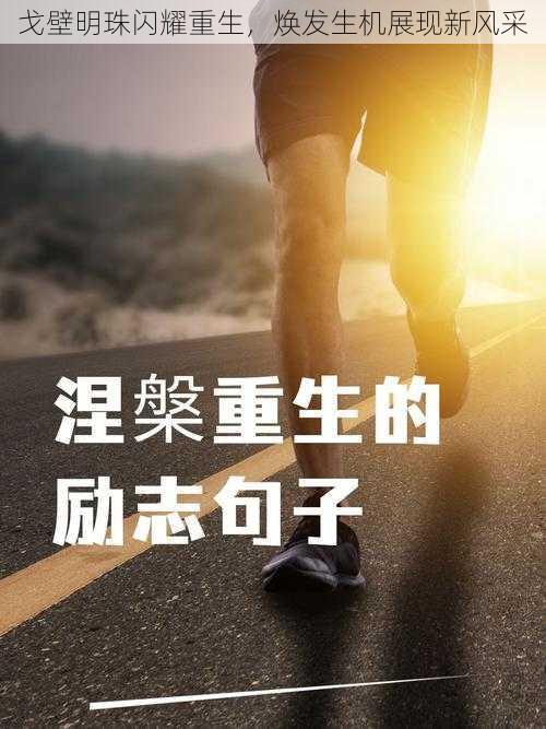 戈壁明珠闪耀重生，焕发生机展现新风采