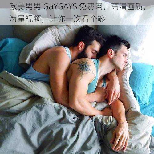 欧美男男 GaYGAYS 免费网，高清画质，海量视频，让你一次看个够