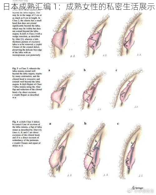 日本成熟汇编 1：成熟女性的私密生活展示