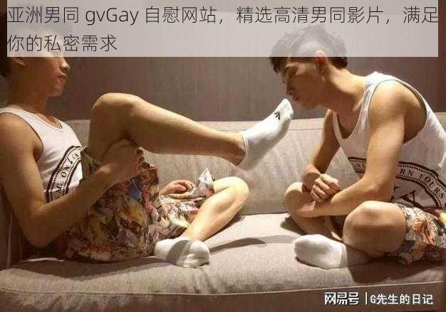 亚洲男同 gvGay 自慰网站，精选高清男同影片，满足你的私密需求