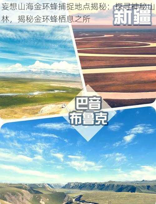 妄想山海金环蜂捕捉地点揭秘：探寻神秘山林，揭秘金环蜂栖息之所