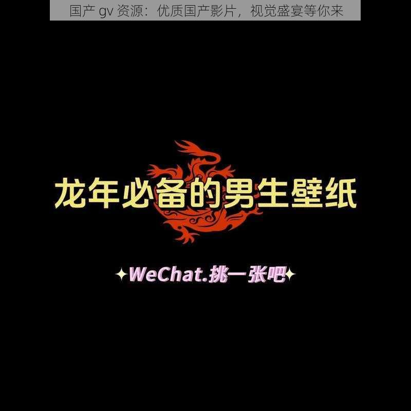 国产 gv 资源：优质国产影片，视觉盛宴等你来