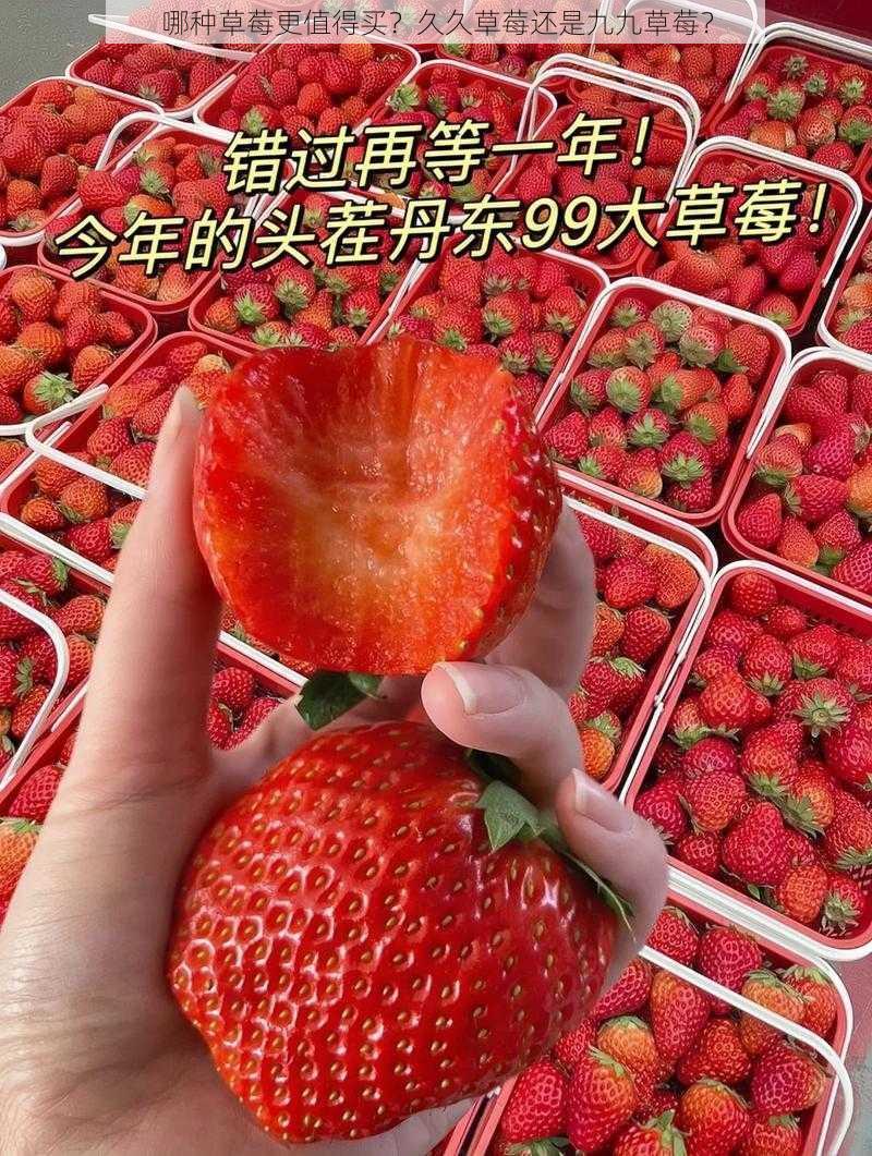 哪种草莓更值得买？久久草莓还是九九草莓？