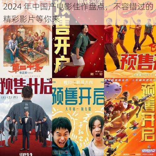 2024 年中国产电影佳作盘点，不容错过的精彩影片等你来