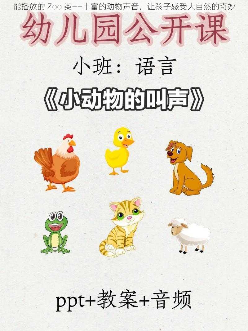 能播放的 Zoo 类——丰富的动物声音，让孩子感受大自然的奇妙