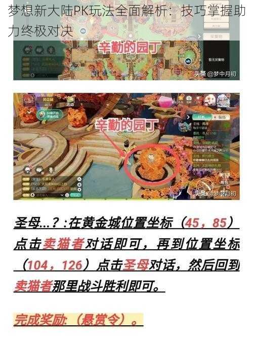 梦想新大陆PK玩法全面解析：技巧掌握助力终极对决