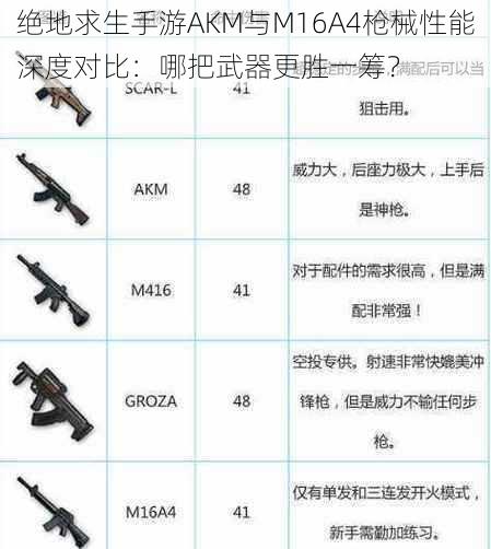 绝地求生手游AKM与M16A4枪械性能深度对比：哪把武器更胜一筹？