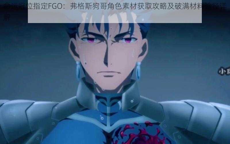 命运冠位指定FGO：弗格斯狗哥角色素材获取攻略及破满材料途径详解