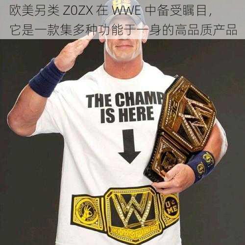 欧美另类 Z0ZX 在 WWE 中备受瞩目，它是一款集多种功能于一身的高品质产品