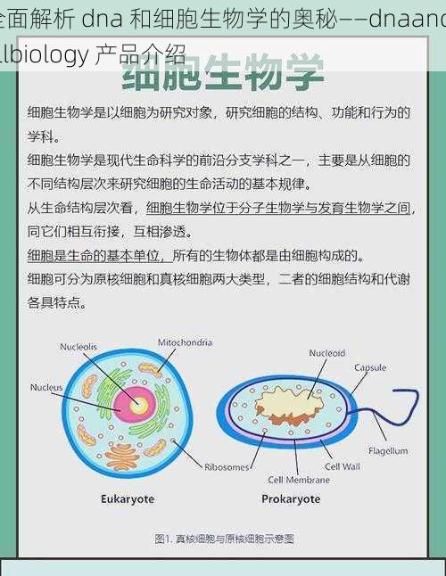 全面解析 dna 和细胞生物学的奥秘——dnaandcellbiology 产品介绍