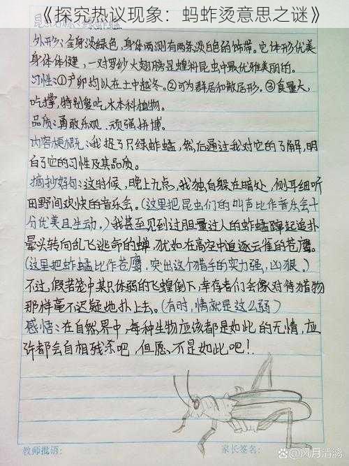 《探究热议现象：蚂蚱烫意思之谜》