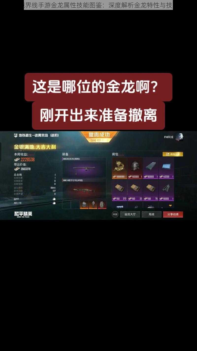 螺旋境界线手游金龙属性技能图鉴：深度解析金龙特性与技能组合