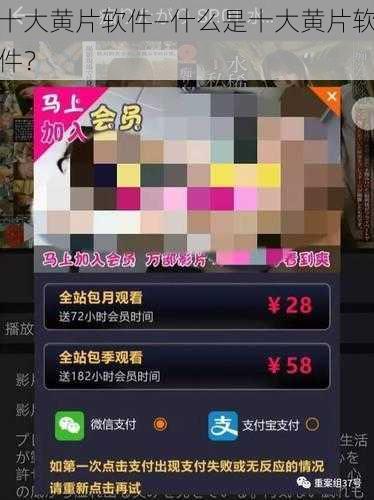 十大黄片软件—什么是十大黄片软件？