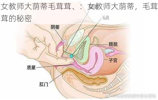 女教师大荫蒂毛茸茸、：女教师大荫蒂，毛茸茸的秘密