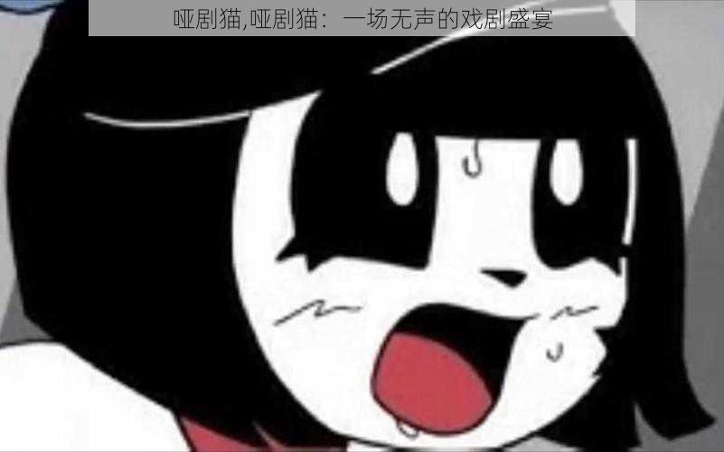 哑剧猫,哑剧猫：一场无声的戏剧盛宴