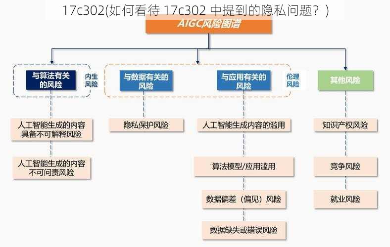 17c302(如何看待 17c302 中提到的隐私问题？)