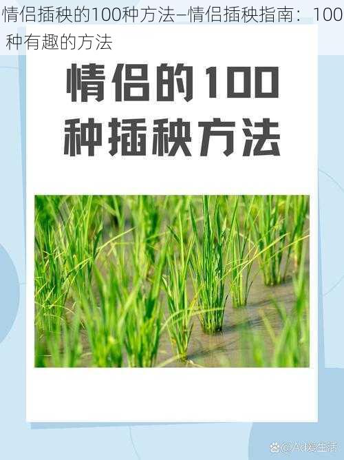 情侣插秧的100种方法—情侣插秧指南：100 种有趣的方法