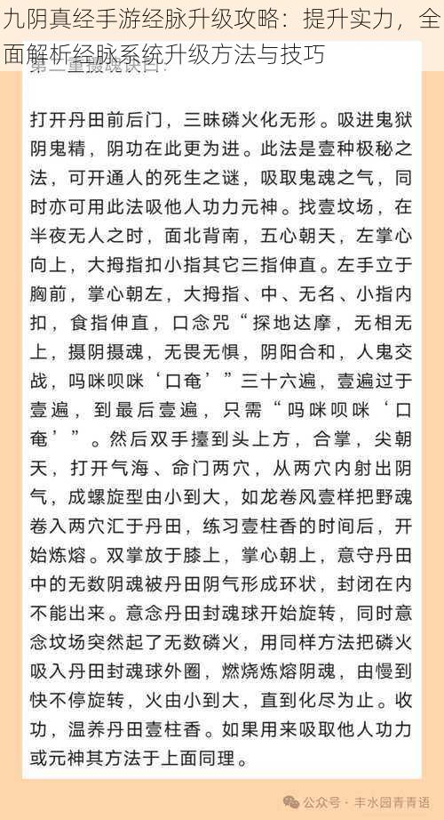 九阴真经手游经脉升级攻略：提升实力，全面解析经脉系统升级方法与技巧