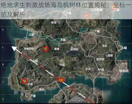 绝地求生刺激战场海岛枫树林位置揭秘：坐标一览及解析