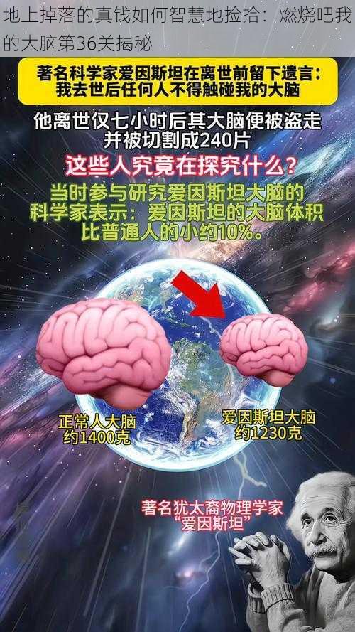 地上掉落的真钱如何智慧地捡拾：燃烧吧我的大脑第36关揭秘