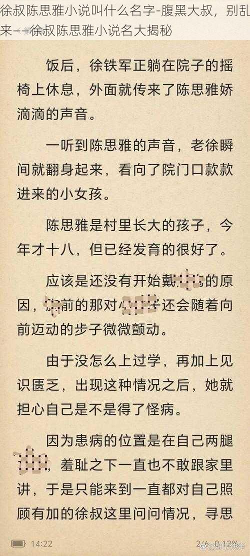 徐叔陈思雅小说叫什么名字-腹黑大叔，别乱来——徐叔陈思雅小说名大揭秘