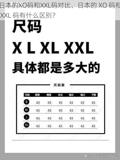 日本的XO码和XXL码对比、日本的 XO 码和 XXL 码有什么区别？