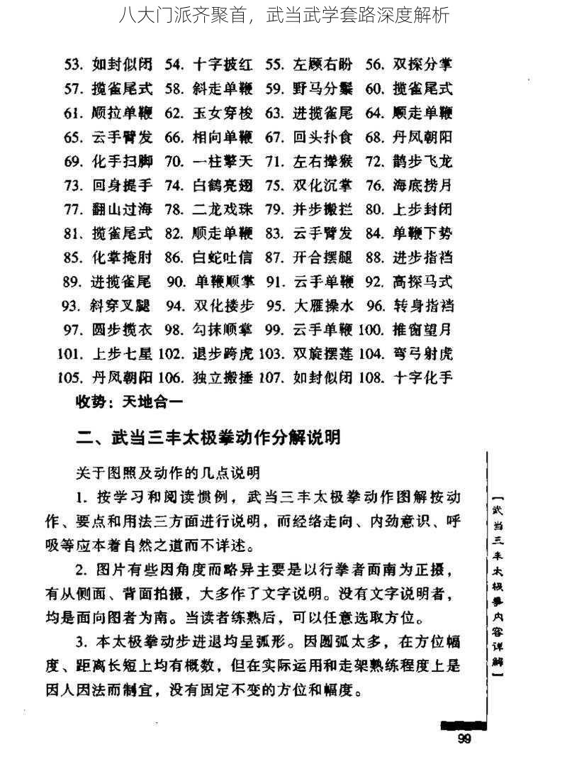 八大门派齐聚首，武当武学套路深度解析