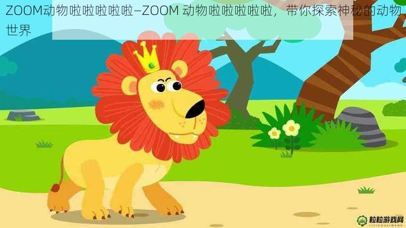 ZOOM动物啦啦啦啦啦—ZOOM 动物啦啦啦啦啦，带你探索神秘的动物世界