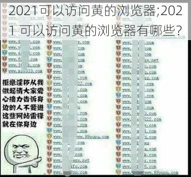 2021可以访问黄的浏览器;2021 可以访问黄的浏览器有哪些？