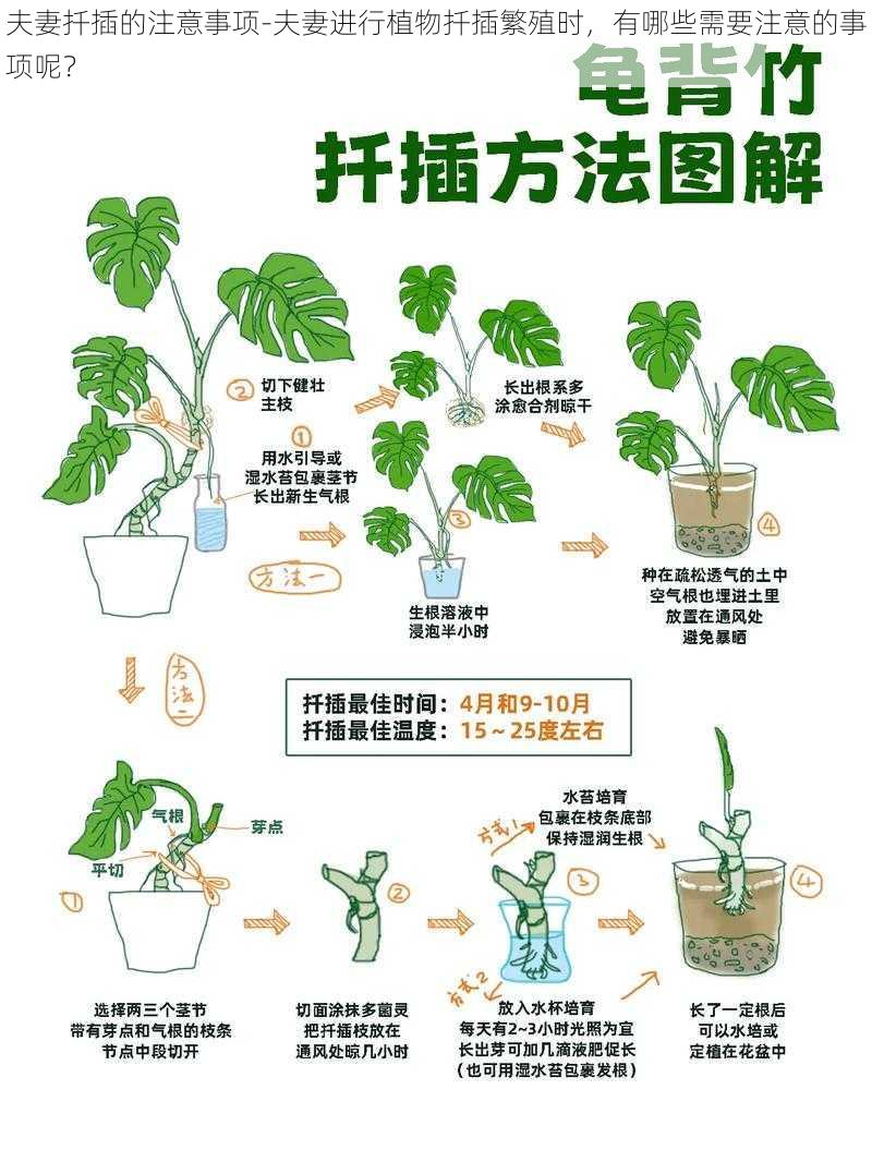 夫妻扦插的注意事项-夫妻进行植物扦插繁殖时，有哪些需要注意的事项呢？