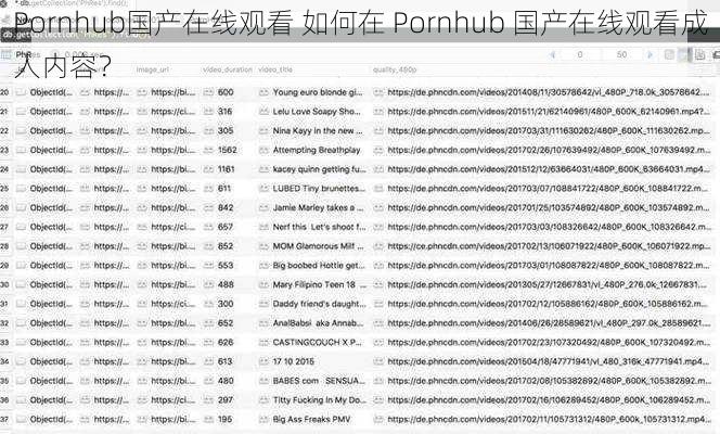 Pornhub国产在线观看 如何在 Pornhub 国产在线观看成人内容？