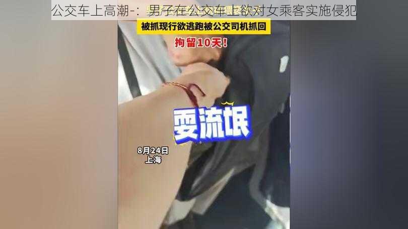 公交车上高潮-：男子在公交车上欲对女乘客实施侵犯