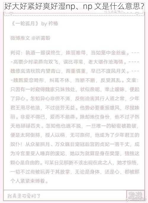 好大好紧好爽好湿np、np 文是什么意思？