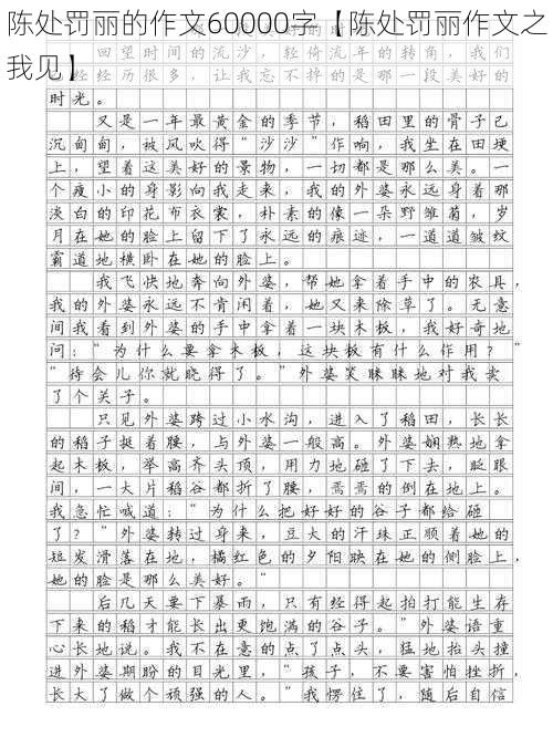 陈处罚丽的作文60000字【陈处罚丽作文之我见】