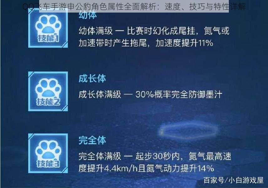 QQ飞车手游申公豹角色属性全面解析：速度、技巧与特性详解