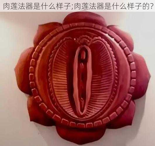 肉莲法器是什么样子;肉莲法器是什么样子的？