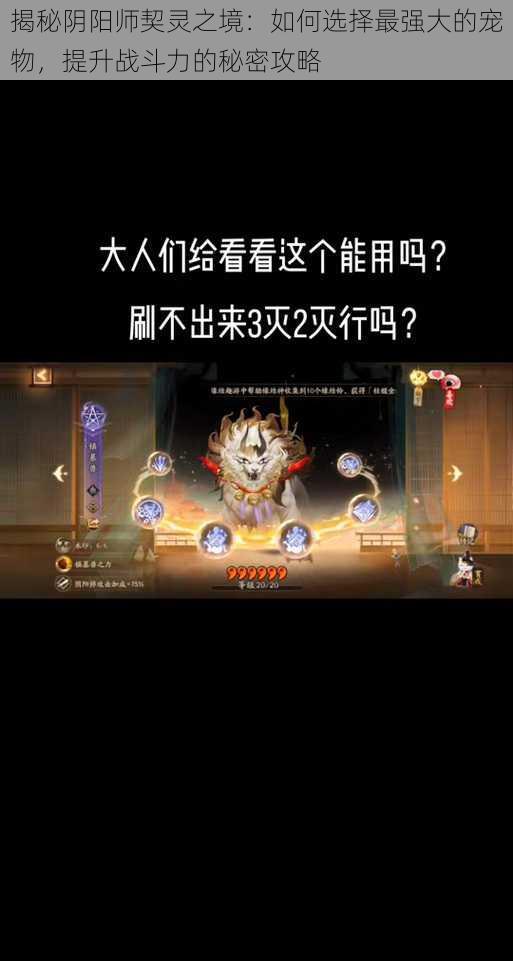 揭秘阴阳师契灵之境：如何选择最强大的宠物，提升战斗力的秘密攻略