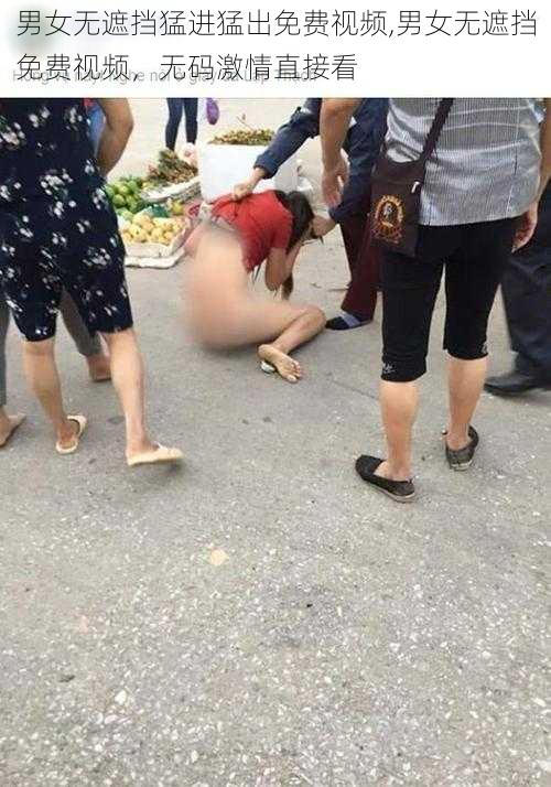 男女无遮挡猛进猛出免费视频,男女无遮挡免费视频，无码激情直接看