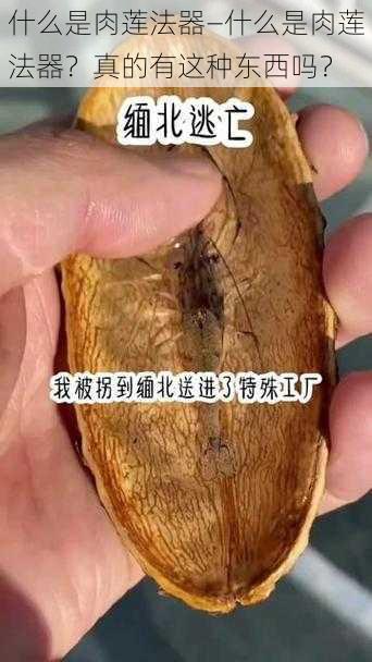 什么是肉莲法器—什么是肉莲法器？真的有这种东西吗？