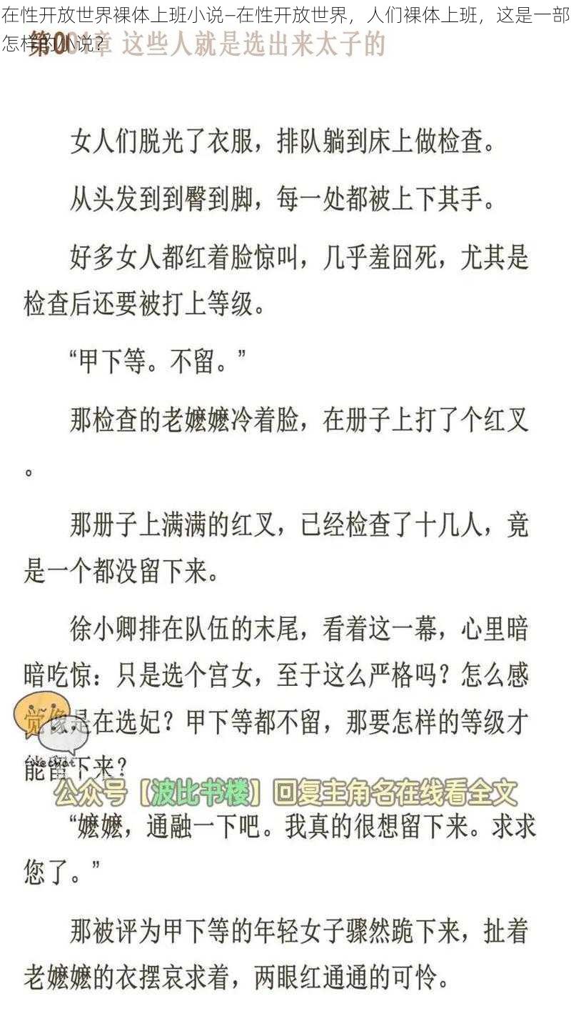 在性开放世界裸体上班小说—在性开放世界，人们裸体上班，这是一部怎样的小说？