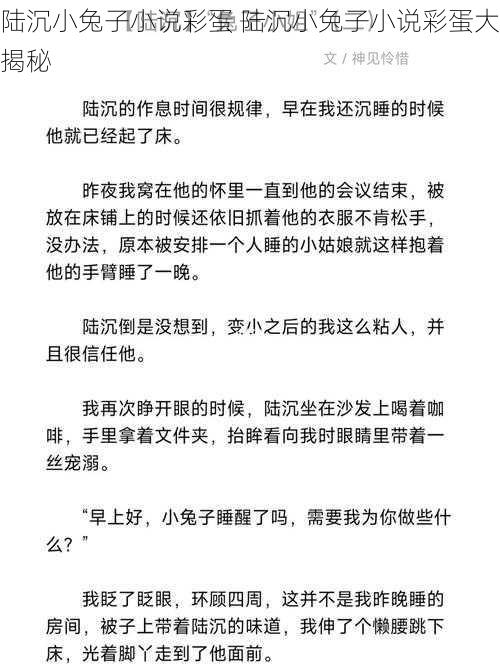 陆沉小兔子小说彩蛋 陆沉小兔子小说彩蛋大揭秘