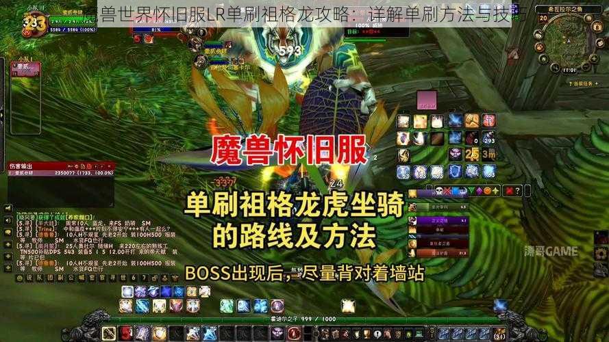 魔兽世界怀旧服LR单刷祖格龙攻略：详解单刷方法与技巧