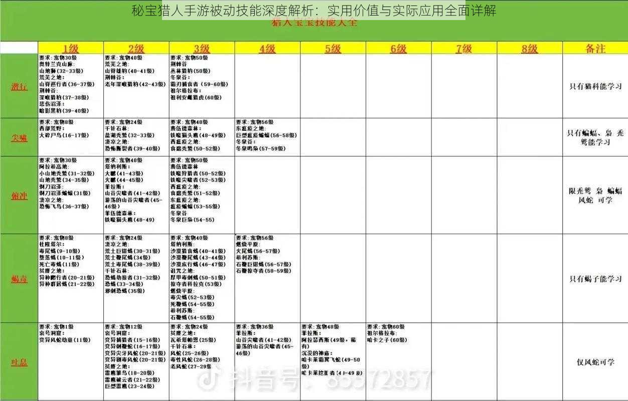 秘宝猎人手游被动技能深度解析：实用价值与实际应用全面详解