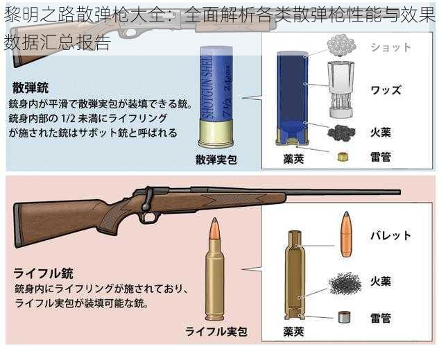 黎明之路散弹枪大全：全面解析各类散弹枪性能与效果数据汇总报告