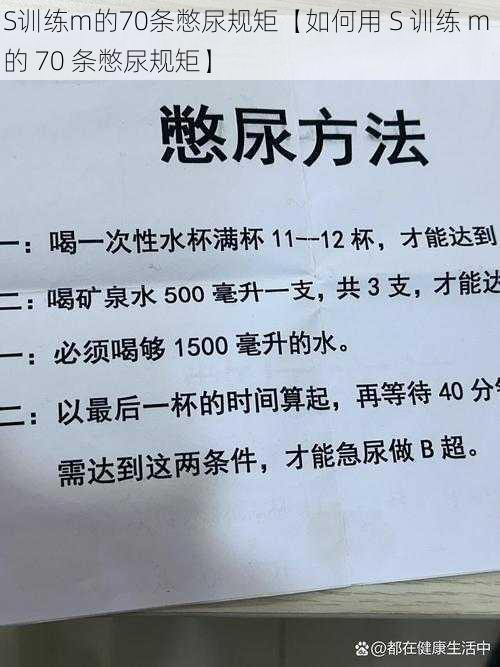 S训练m的70条憋尿规矩【如何用 S 训练 m 的 70 条憋尿规矩】