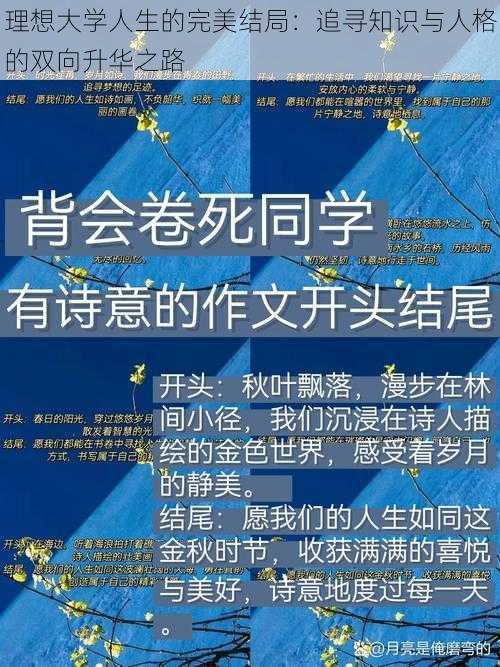 理想大学人生的完美结局：追寻知识与人格的双向升华之路