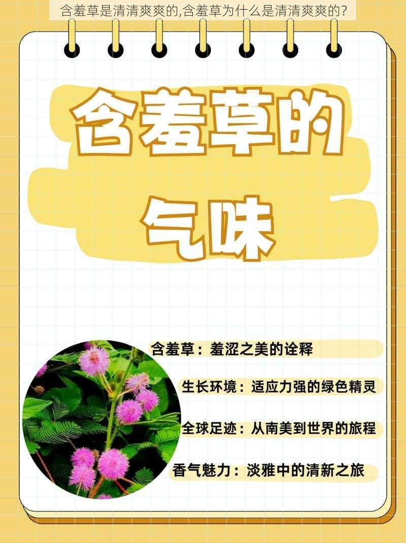 含羞草是清清爽爽的,含羞草为什么是清清爽爽的？